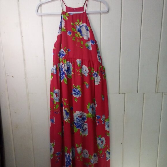 Everly Dresses & Skirts - Everly Dress Women S Sleeveless Maxi Long Lined Floral Pink Blue Green